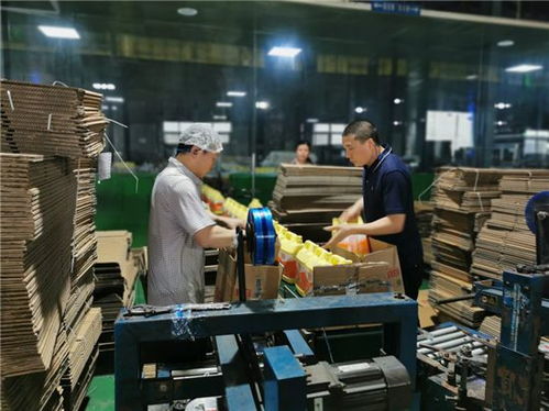 調(diào)結(jié)構(gòu)增產(chǎn)能，四川立白疫情期間產(chǎn)銷不降反升背后的軟件力量